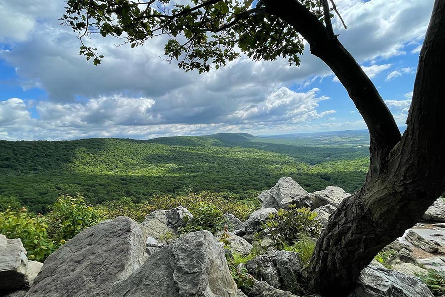 Discover Hawk Mountain Sanctuary 2 Hawk Mountain Sanctuary view from the top